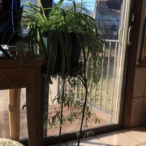 Meet your Posher, Joanne